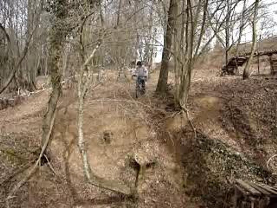 bikes 045