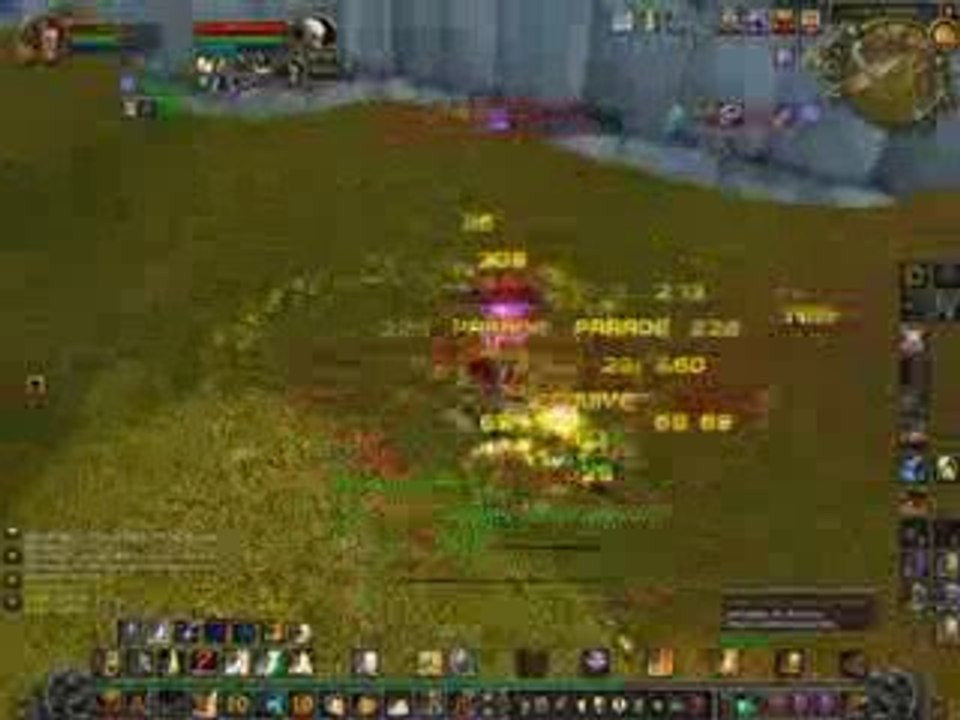 Grossos paladin 80