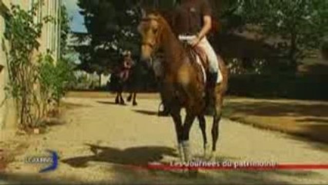 Les journées du patrimoine au haras (La Roche-Sur-Yon)