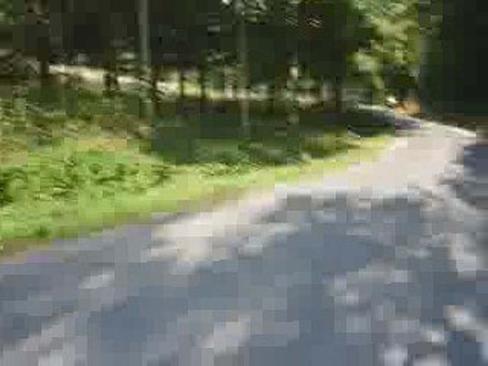 Sortie du 06 sept 09 - FDM - 3