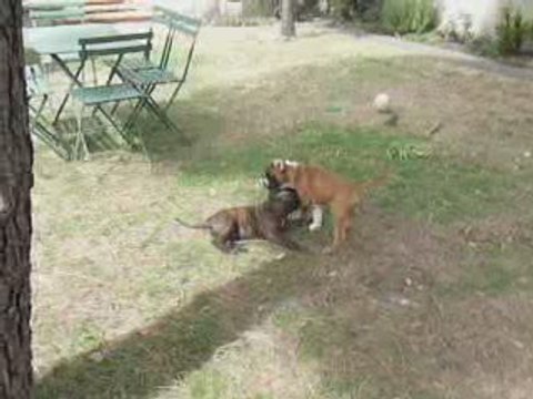 EWANE et EOLE dans le jardin vol.4