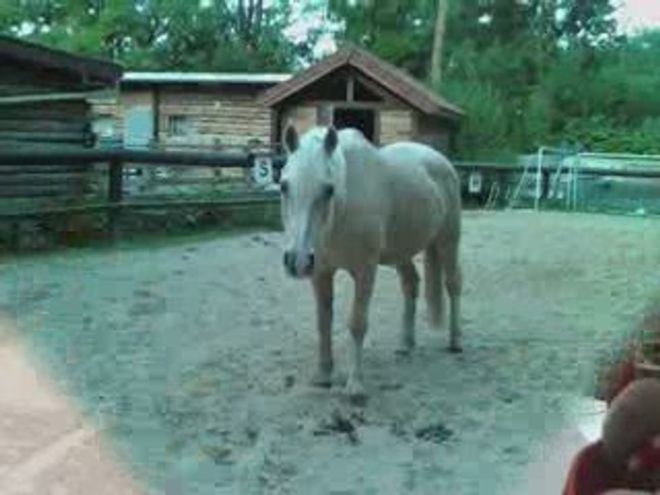 7 mois, mon amour ♥