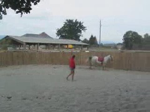 Galop à droite liberté