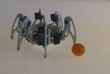 Robot hexapode Micro Base