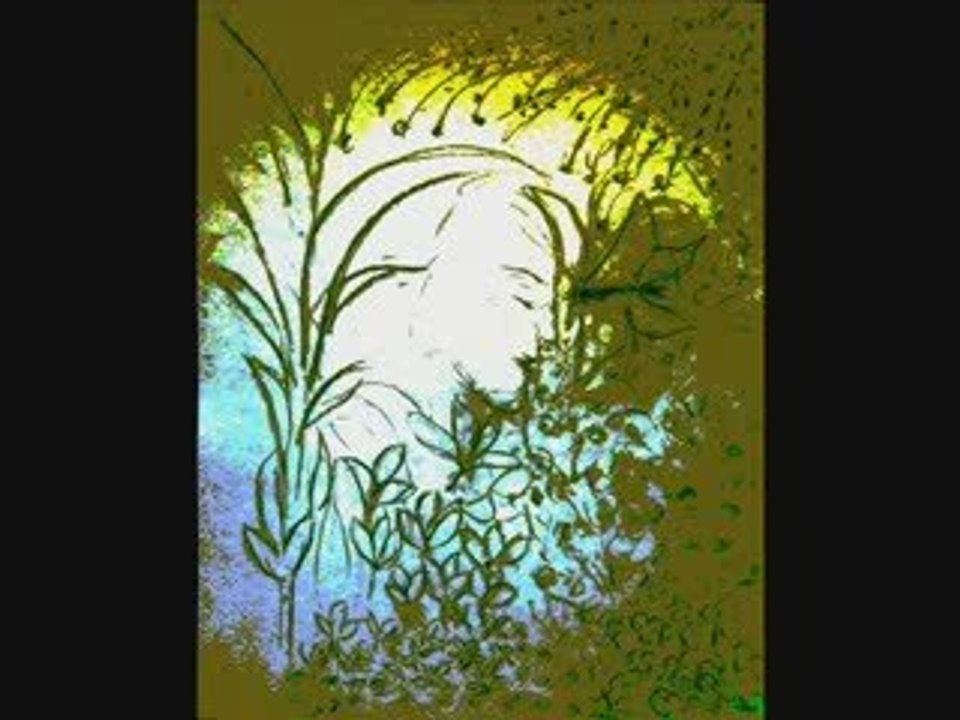 lhomme et le papillon