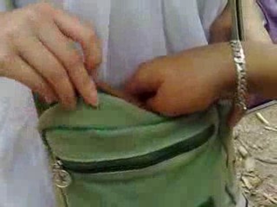 Portugal - 2009 - Parada - Chien de Katia