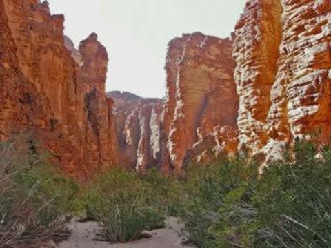 Desert Convoy (djanet voyages )