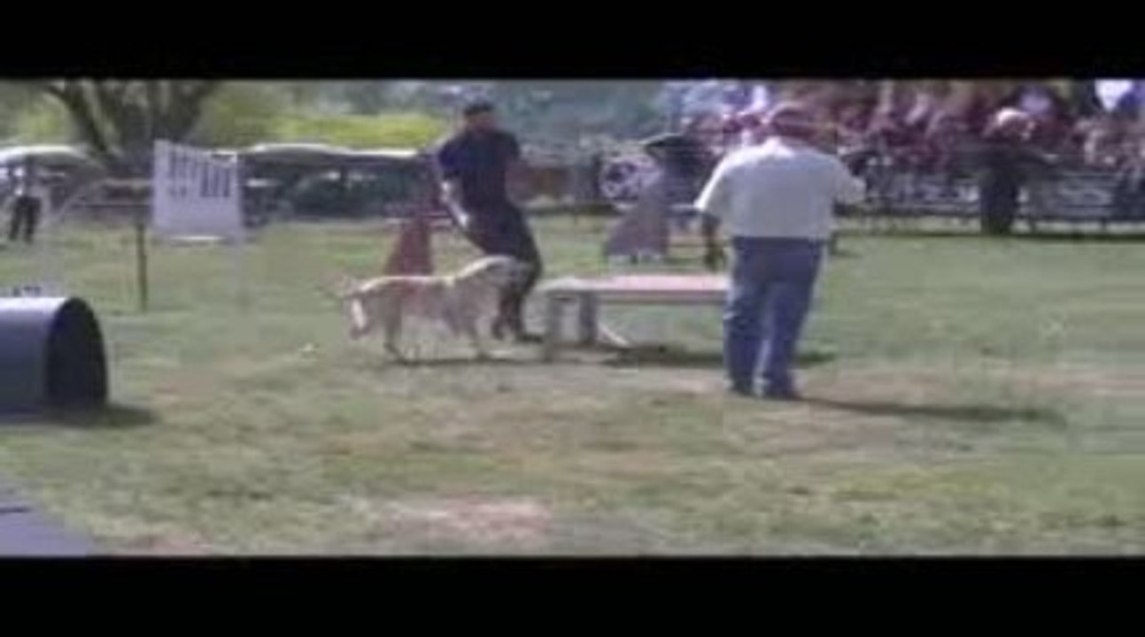 Alaska GPF Agility Belleville 13/09/2009