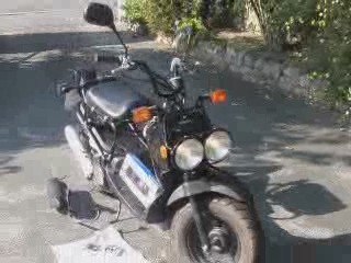 Honda Zoomer / Ruckus - for sale