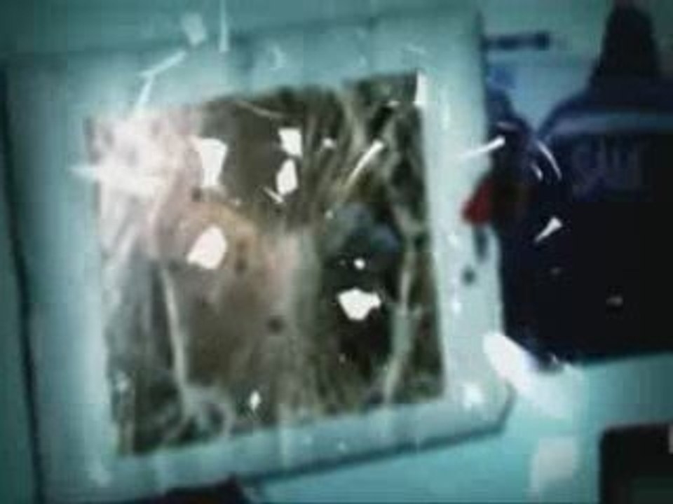 Un accident n'arrive jamais par accident #2