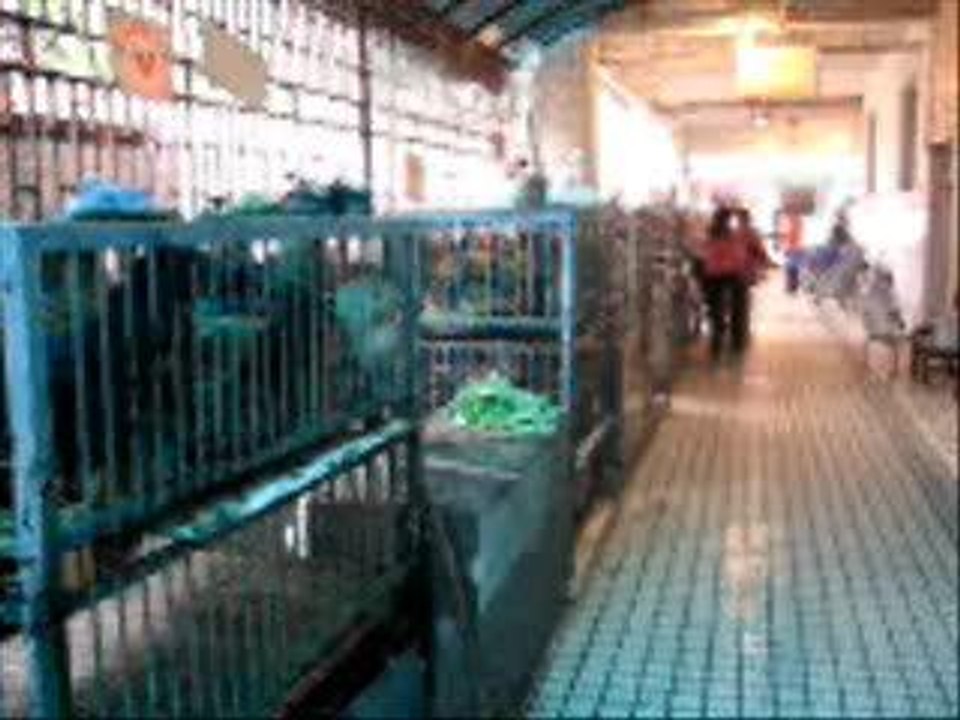 ChineChengdu_0001