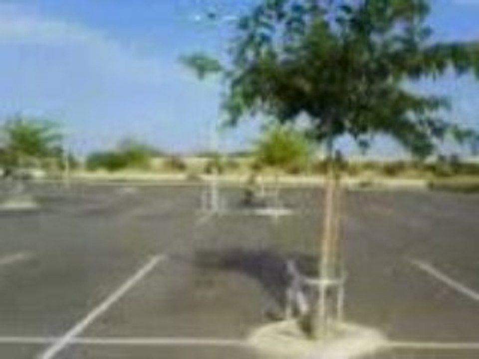 TFS Team Fast Stunt