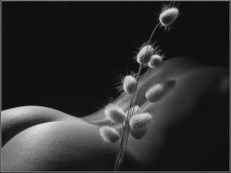 Venus callipyge Georges Brassens