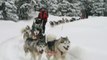 Traineau A Chiens Mont-Tremblant Quebec Canada Dogsled