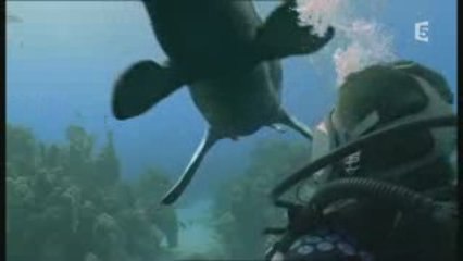 Safari prehistorique 3_5 - Monstres marins 2_2