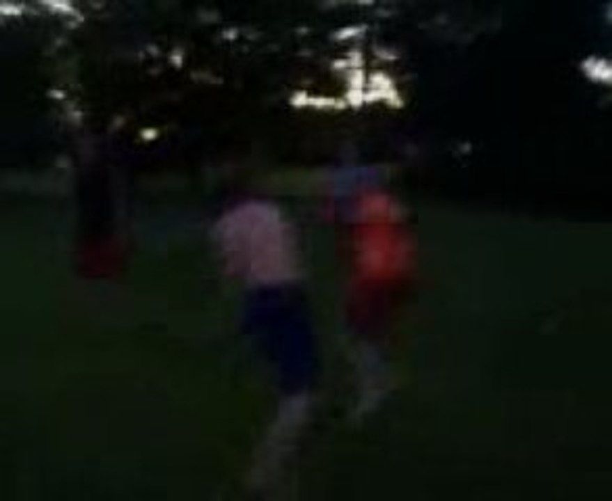cflynna knocks out craig