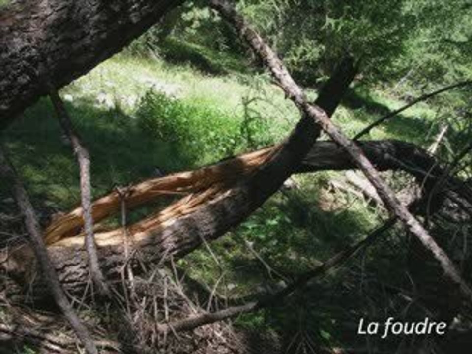 mission pastoraloup 2009