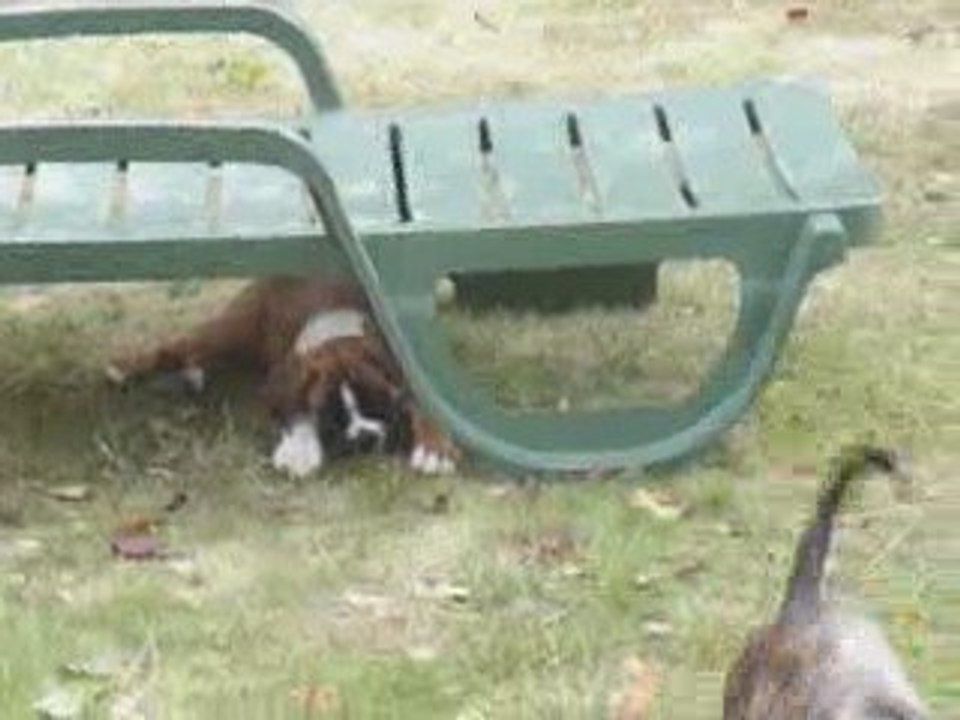 EWANE et EOLE dans le jardin vol.5