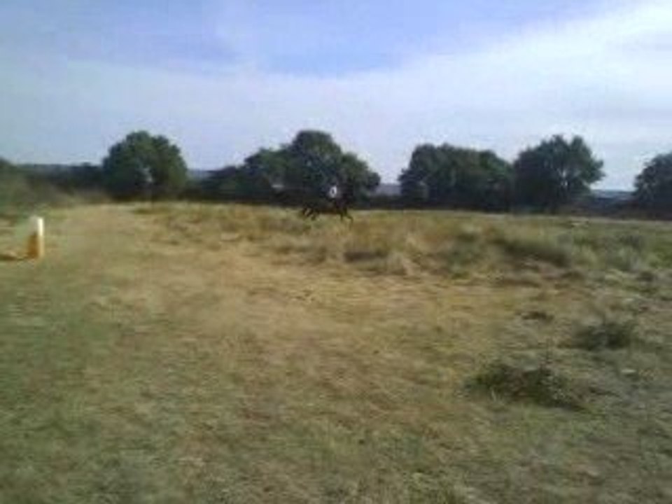 Parcour d'obstacle avec Rikita