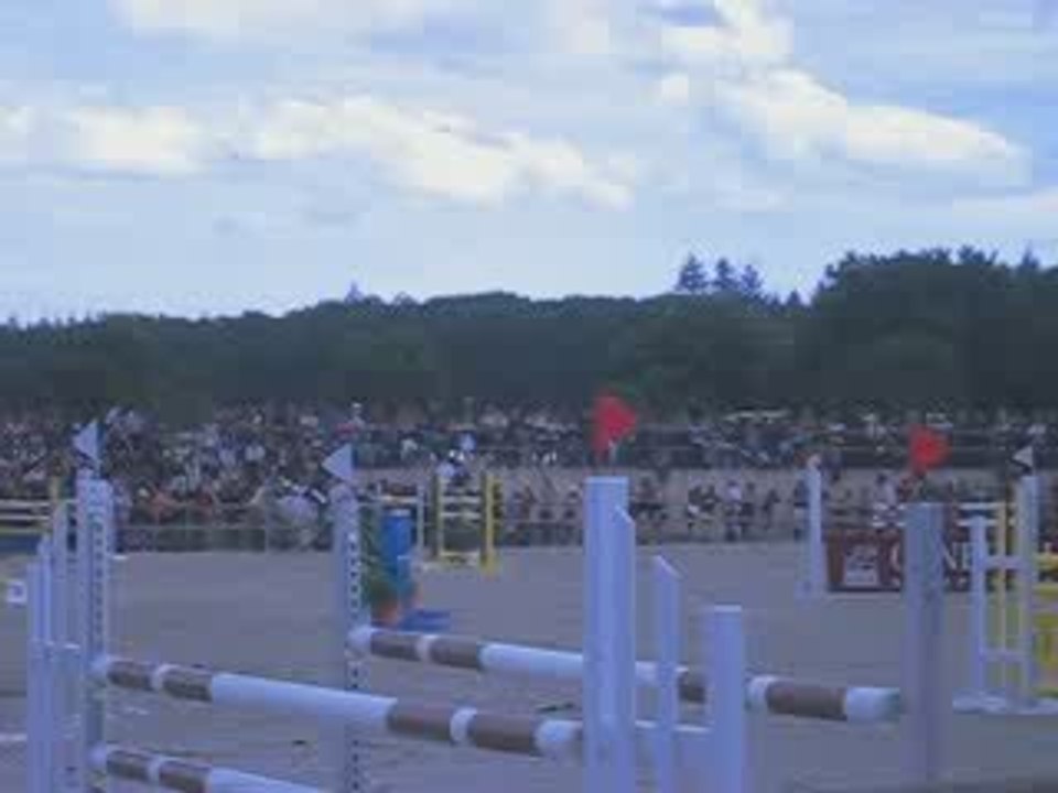 Jimmerdor de Florys au Championnat de France 2008