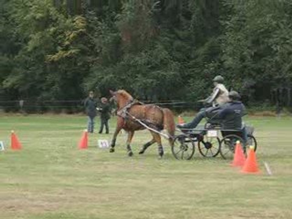 Championnat de Belgique juniors Zutendaal