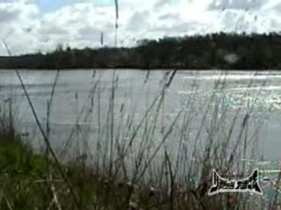 Happy Face - Prophétie Des Fouines