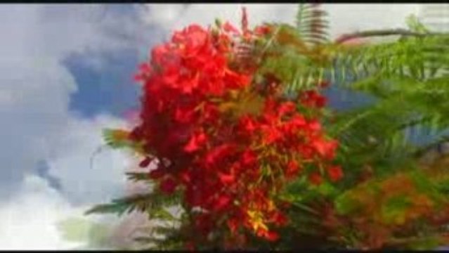 Brewers Bay Beach, St. Thomas - Virgin Islands