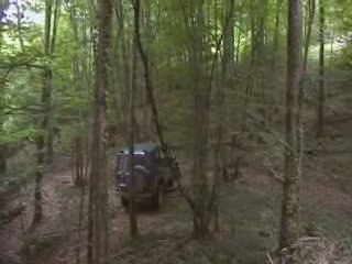foulain 2009