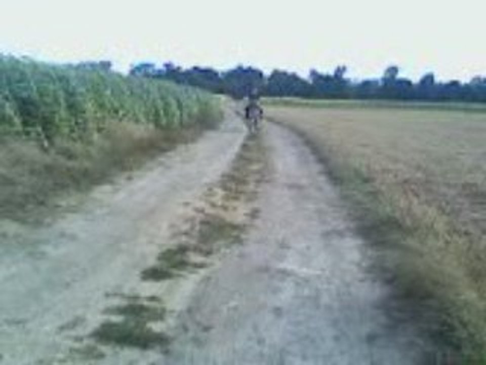 Loupiote