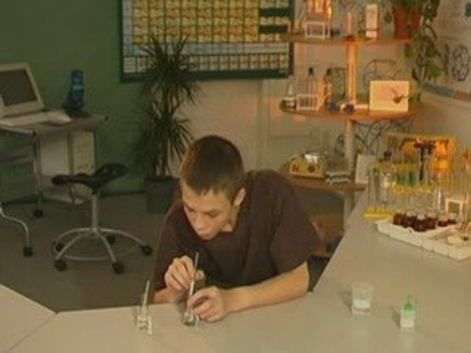 Физические и химические явления