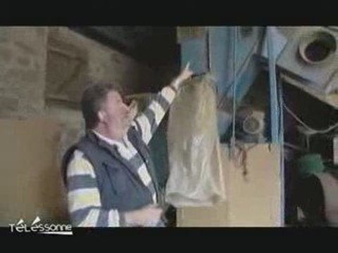 La menthe poivrée de Oncy-sur-Ecole (Essonne)