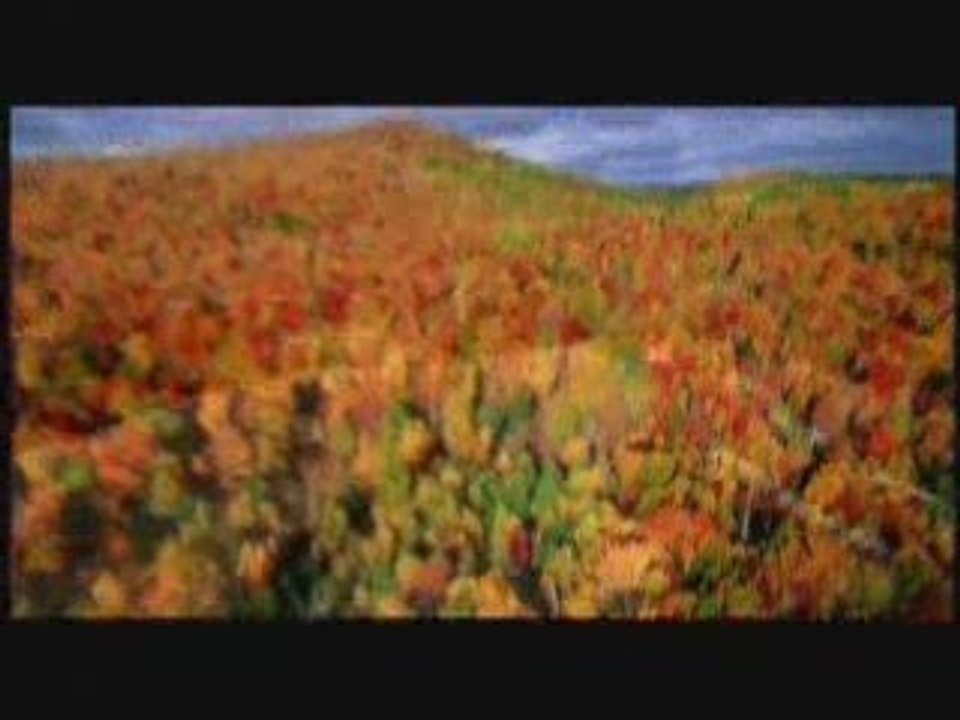 La Terre vue du ciel - Bande-annonce