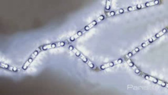 Une Nuit Blanche rock'n roll et poétique ...