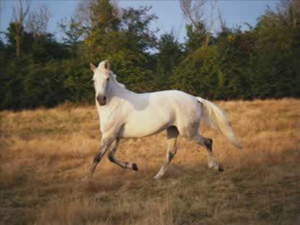 c0mm€nt vivr€ s@nt t0i