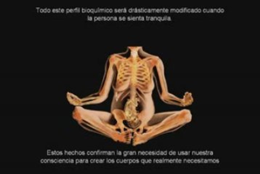 70 Video EL SECRETO en youtube, pelicula, video, dvd, tv
