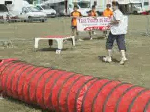 Angel 1er degrés Trèbes 09