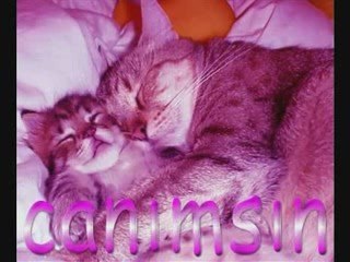 sezen aksu hoşçakal harika bi slayt klip