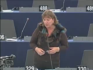 Norica Nicolai on Western Balkan countries