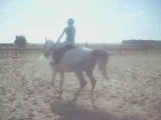 Samedi 12/09/09 Sablière  5