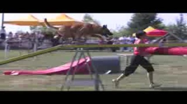 Sindbad GPF Agility Belleville 13/09/2009