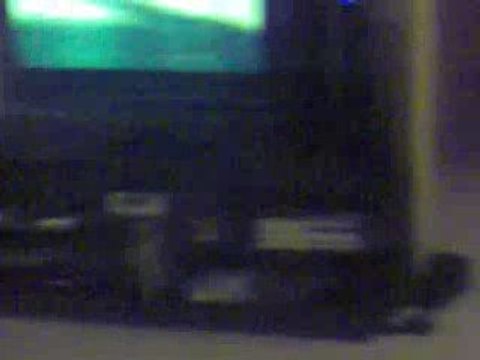 le chat georges ramene la balle