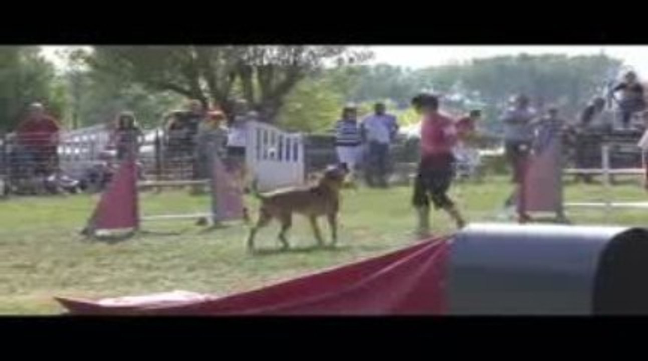 Sindbad Jumping Agility Belleville 13/09/2009