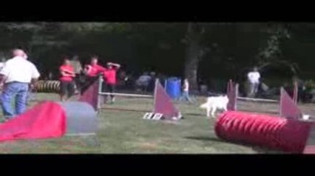 Thao Degré Agility Belleville 13/09/2009