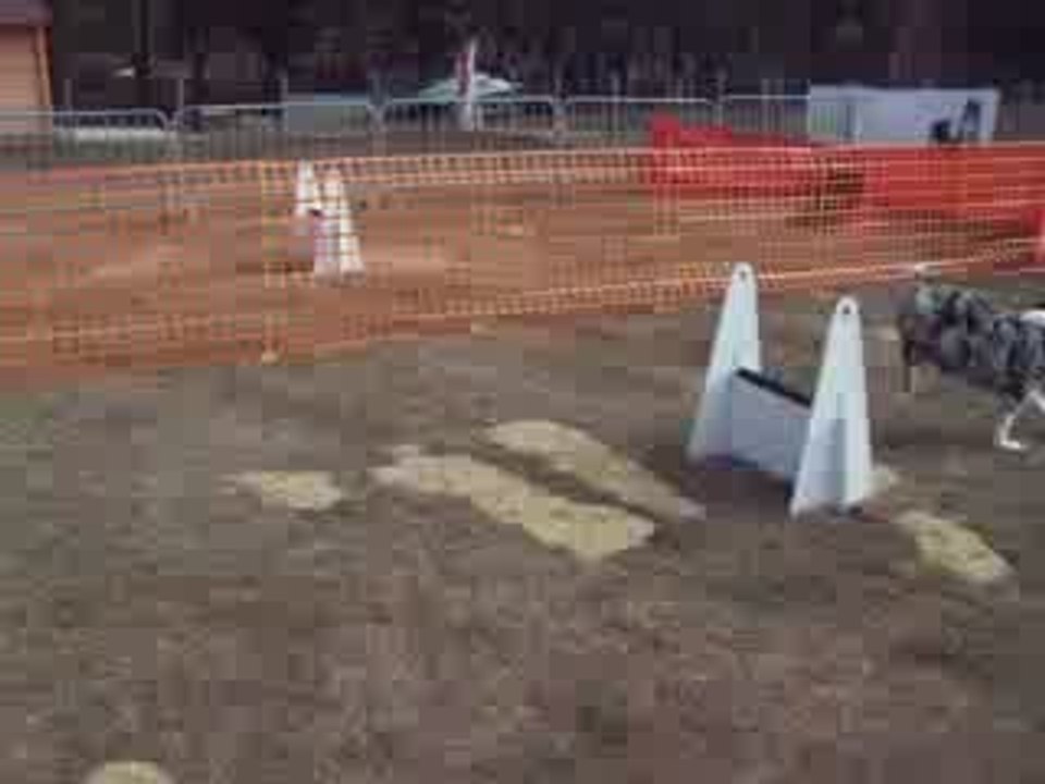 passflyball ccpm2009