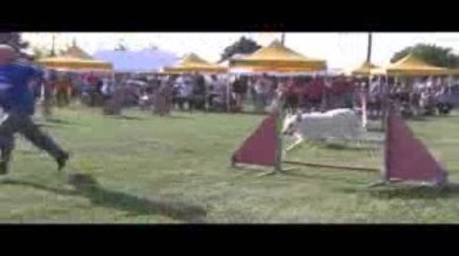 Thao jumping Agility Belleville 13/09/2009