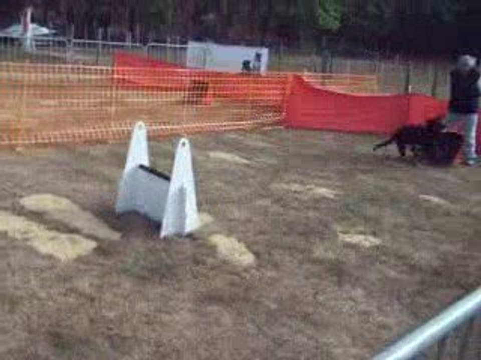 passflyball ccpm2009