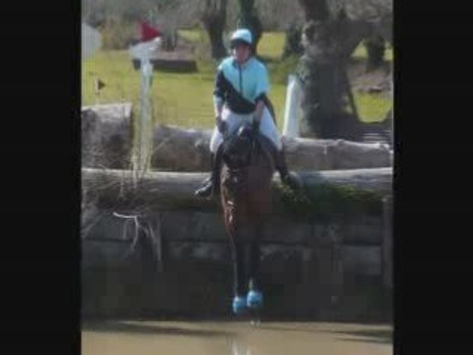 Les poneys de Caudan.