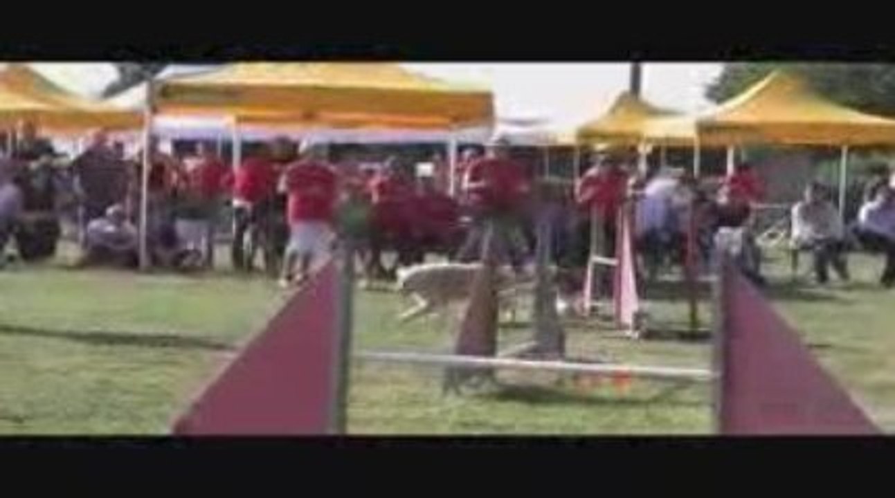 Salsa Jumping Agility Belleville 13/09/2009