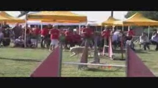 Salsa Jumping Agility Belleville 13/09/2009