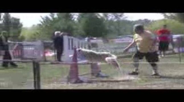 Salsa GPF Agility Belleville 13/09/2009